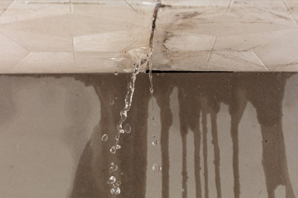 Professional Structural Drying technician working in Lutherville Timonium, MD